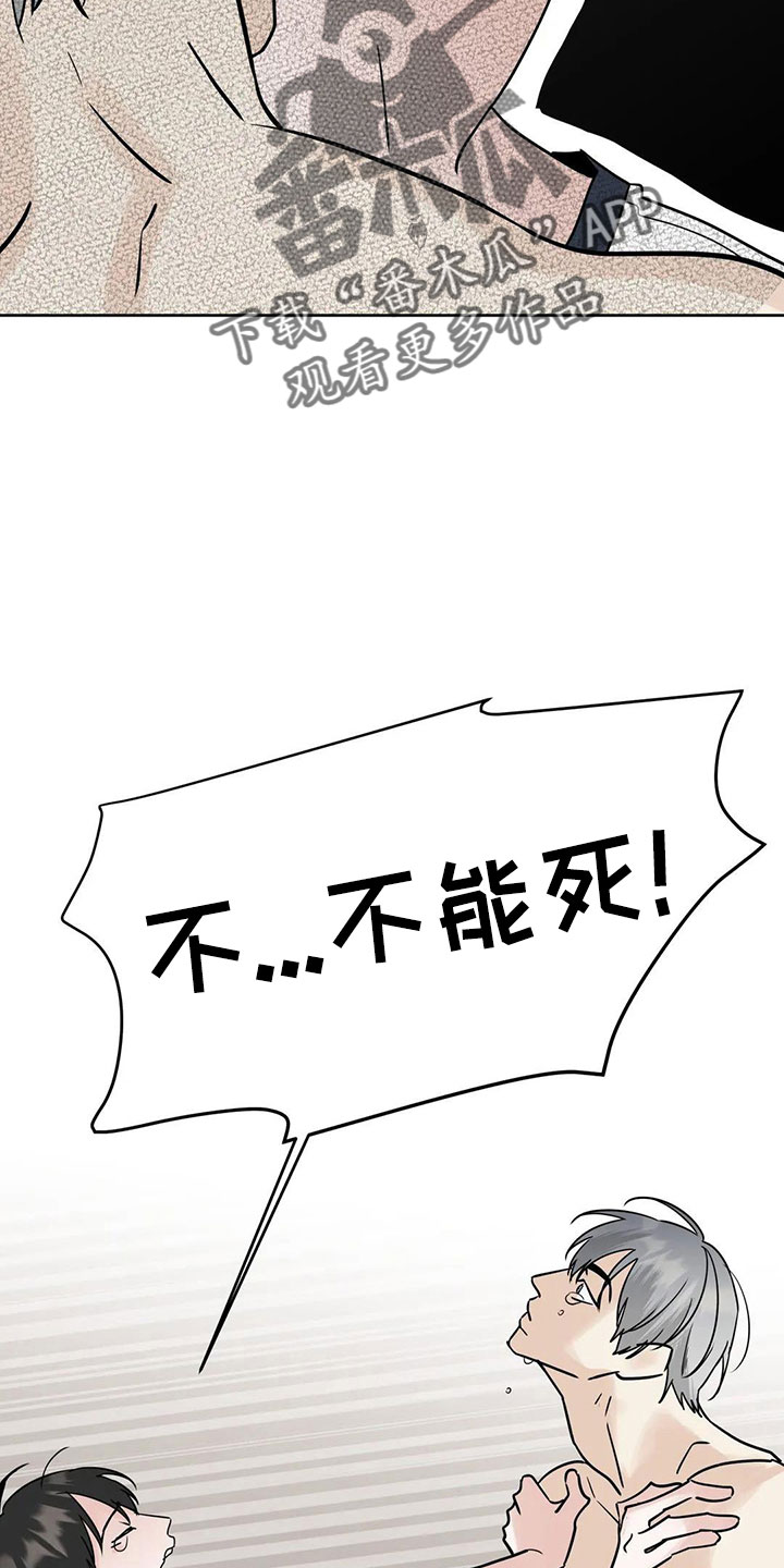 第55章：5个亿10