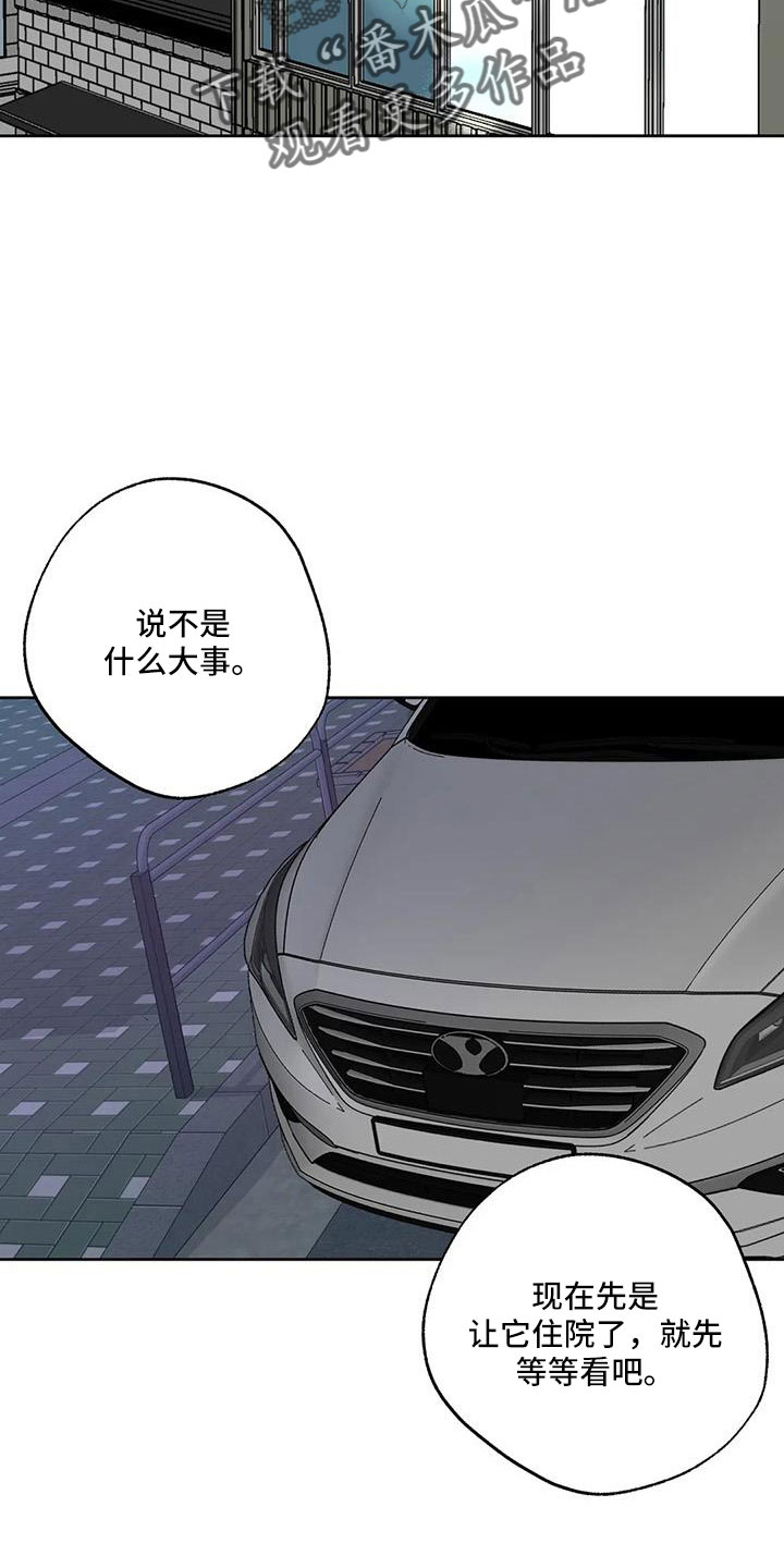 第53章：晴天霹雳22