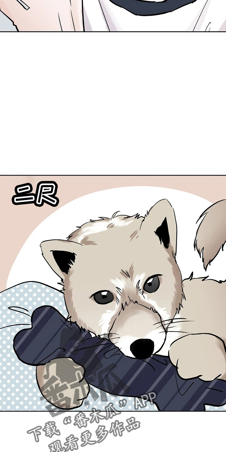 第41章：二尺17