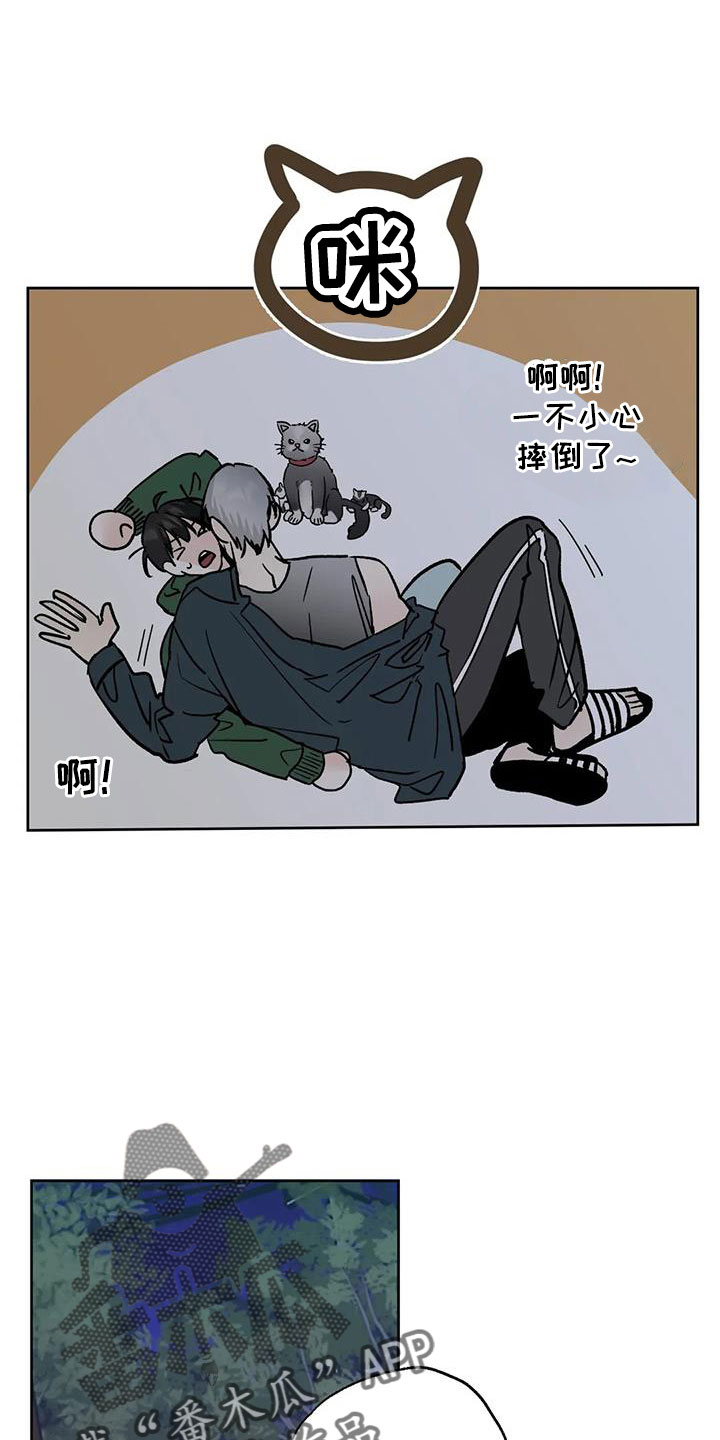 第53章：晴天霹雳8