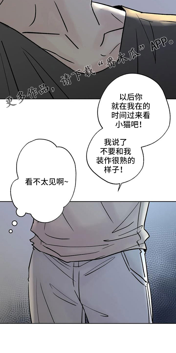 第52章：你来啦14
