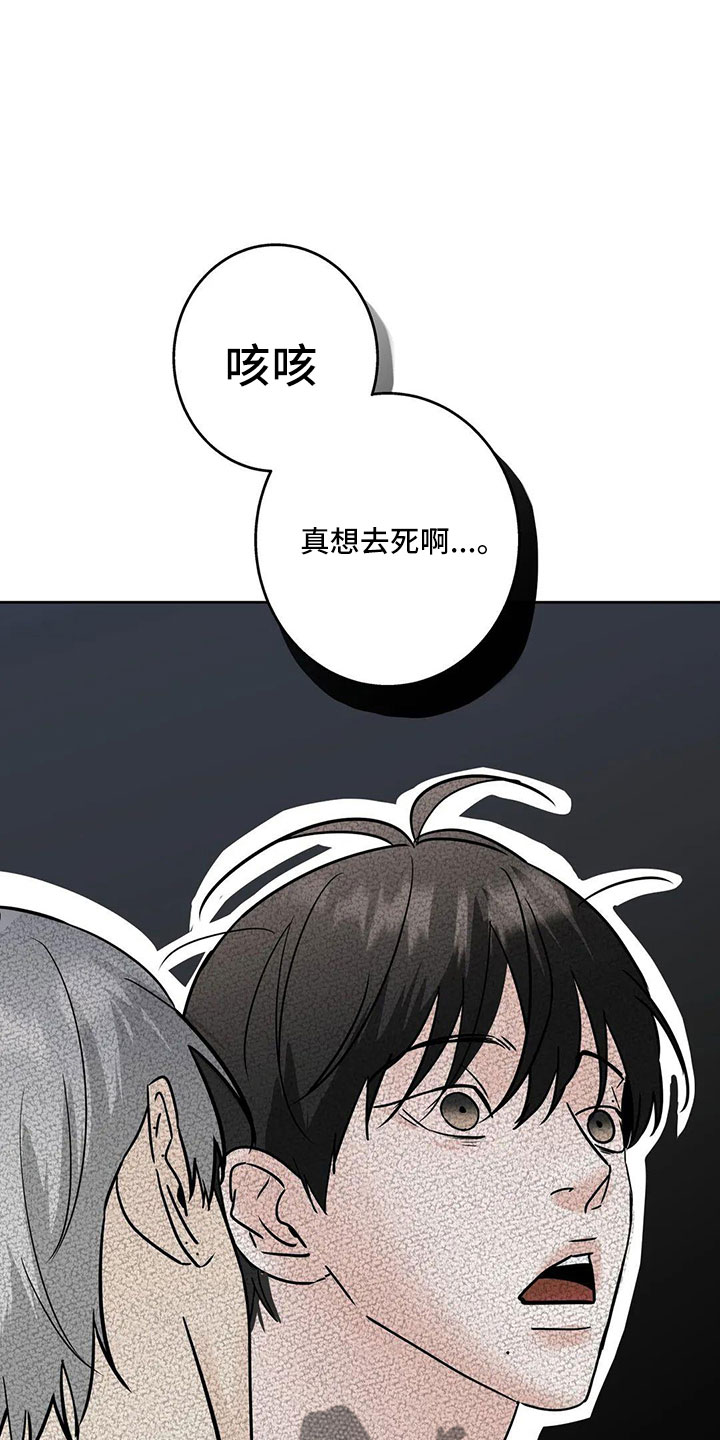 第55章：5个亿9