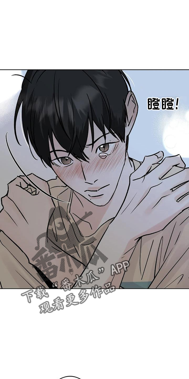第52章：你来啦11