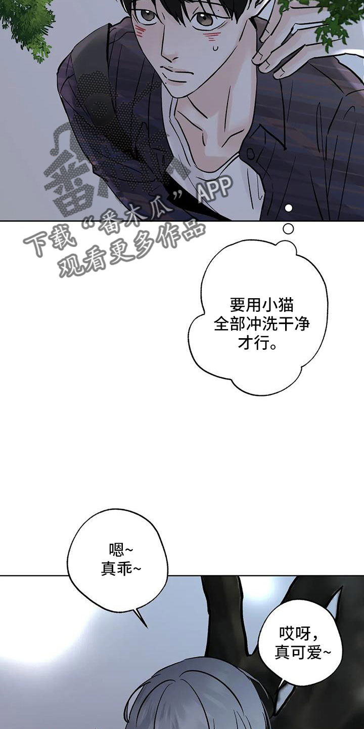第52章：你来啦23
