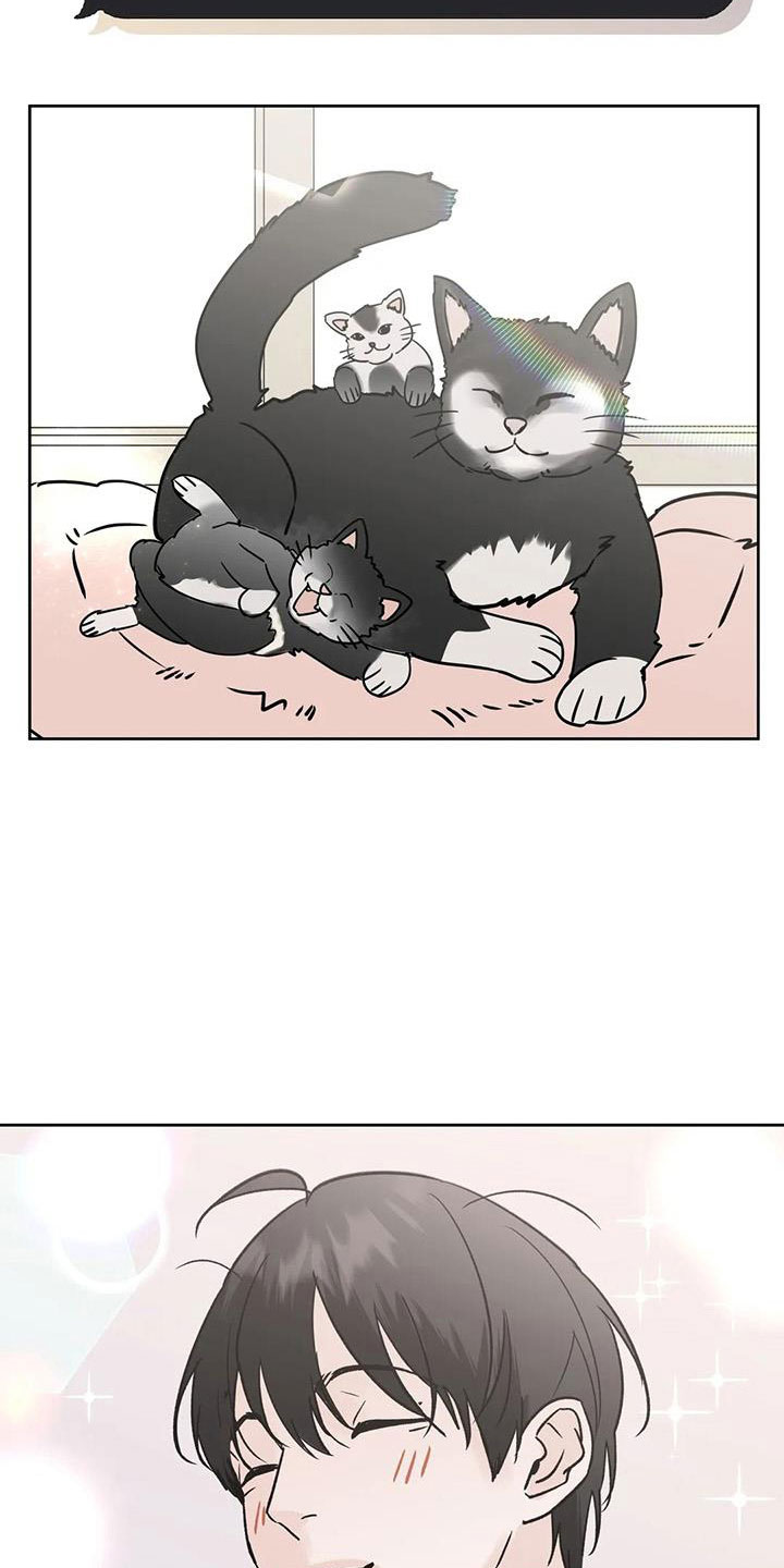 第54章：诈骗6