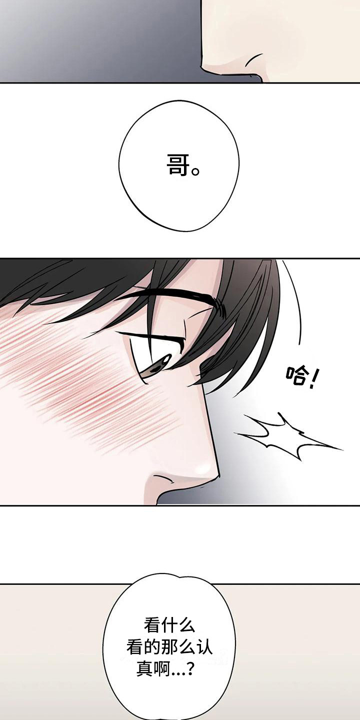 第12章：盯着看5