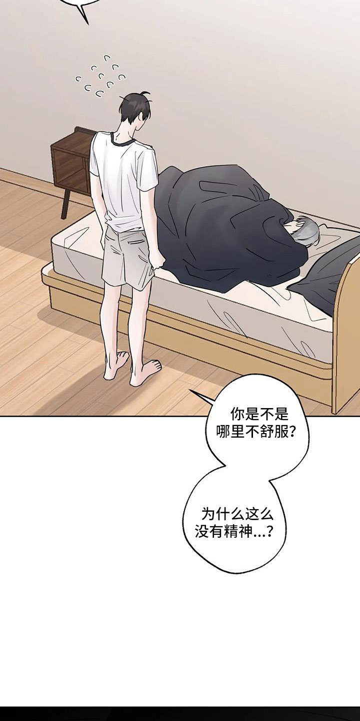 第54章：诈骗18