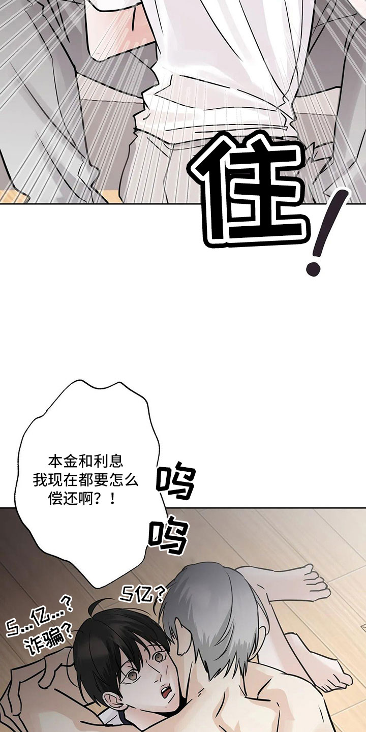 第55章：5个亿6