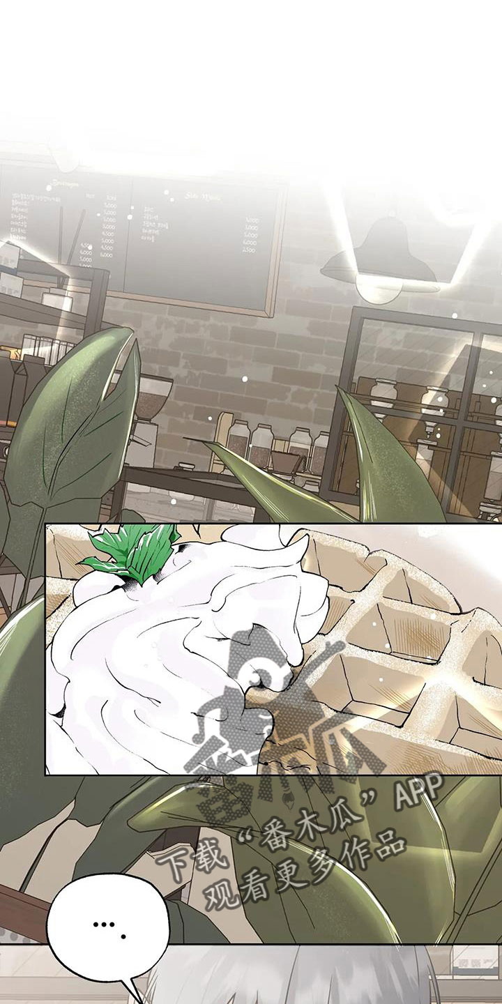 第66章：华夫饼9