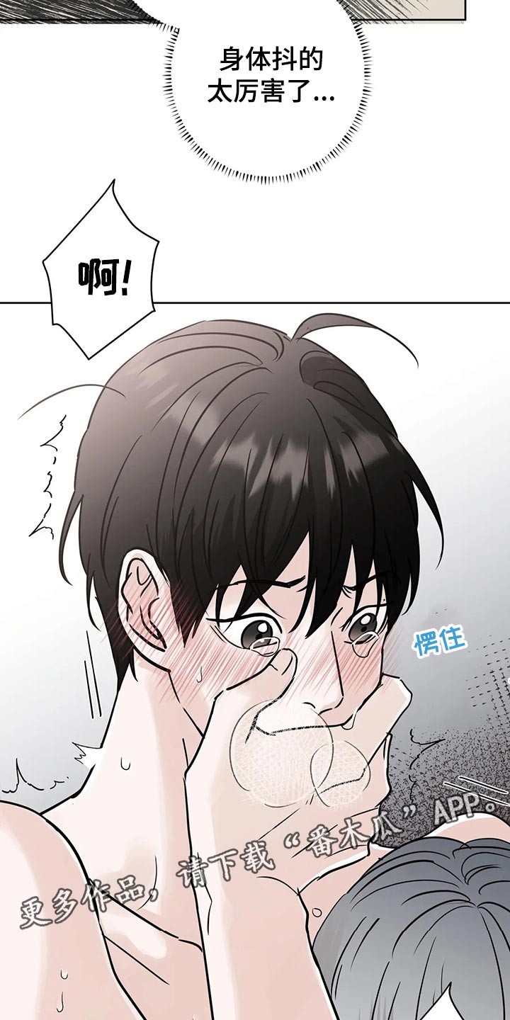 第25章：命令5