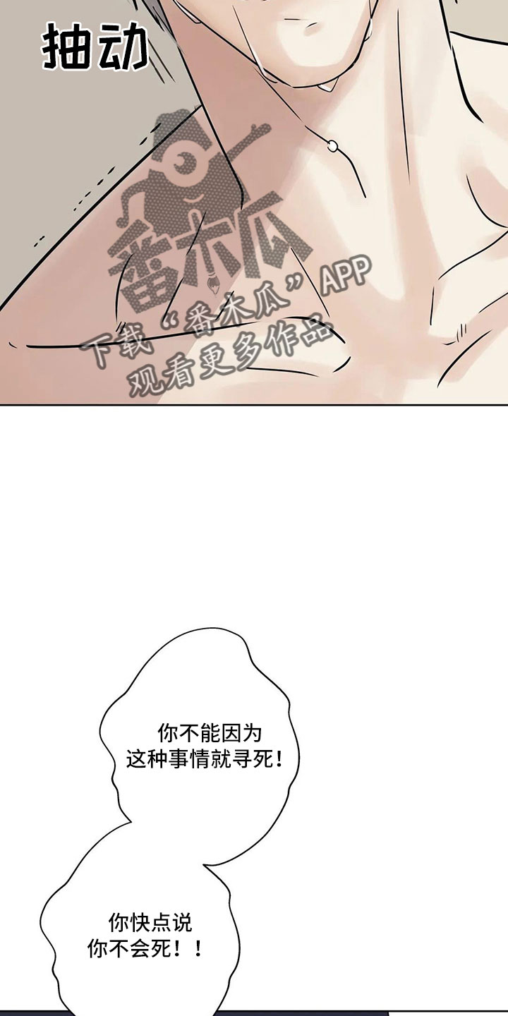 第55章：5个亿12