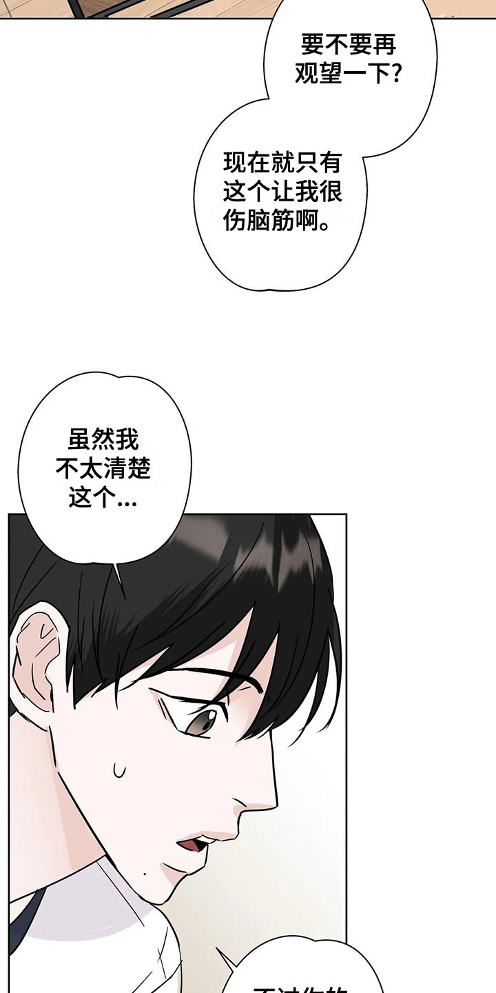 第31章：观望1