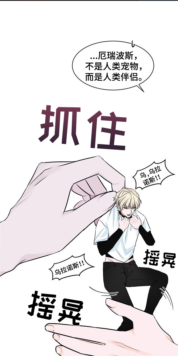 第2章：托付15