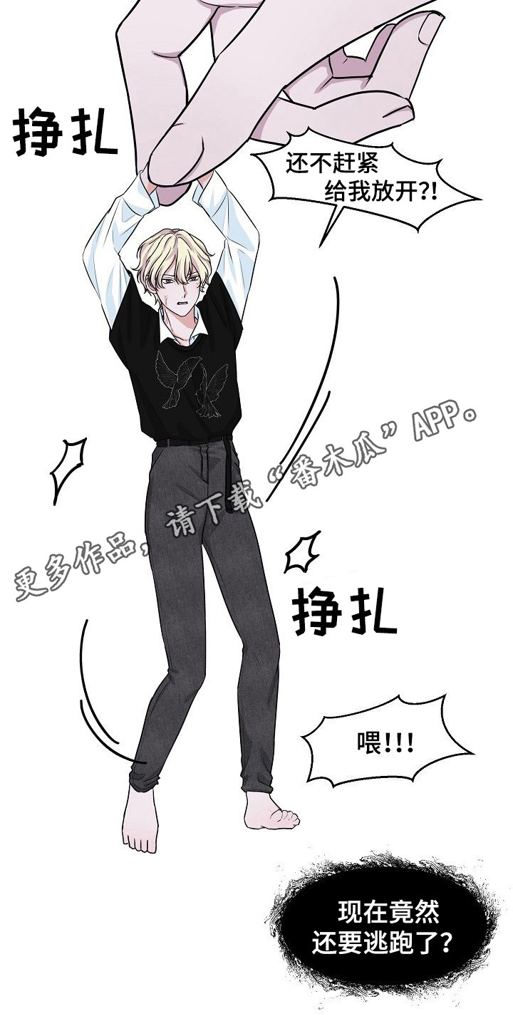第5章：放肆10