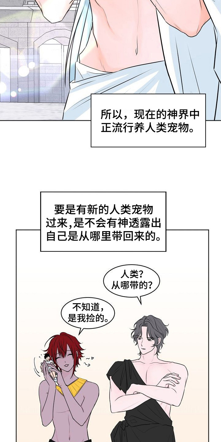 第1章：人类宠物7