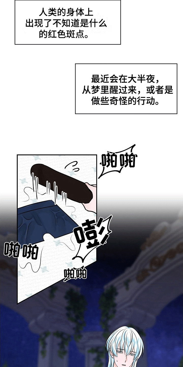 第11章：变得奇怪18