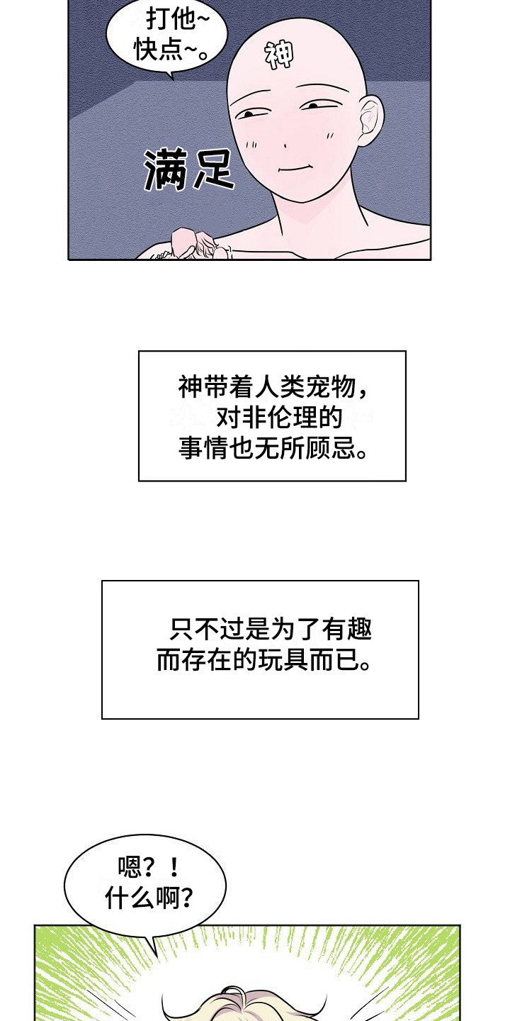 第1章：人类宠物11