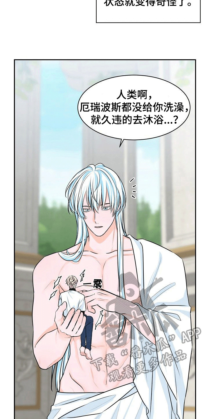 第11章：变得奇怪13