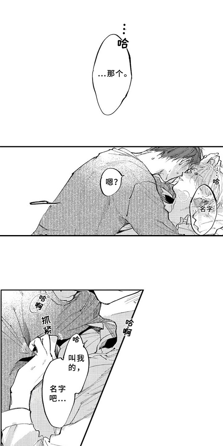 第12章：解释4