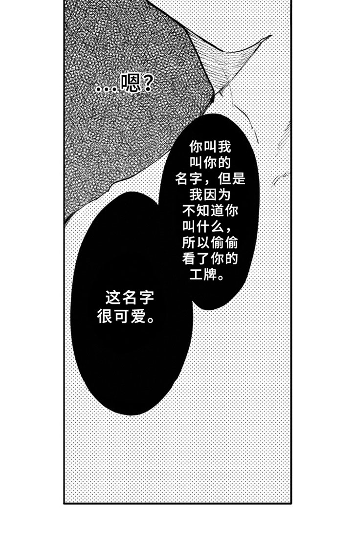 第12章：解释14