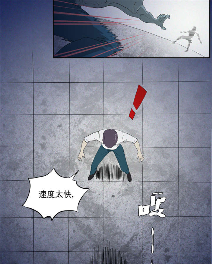 第15章：袭杀12