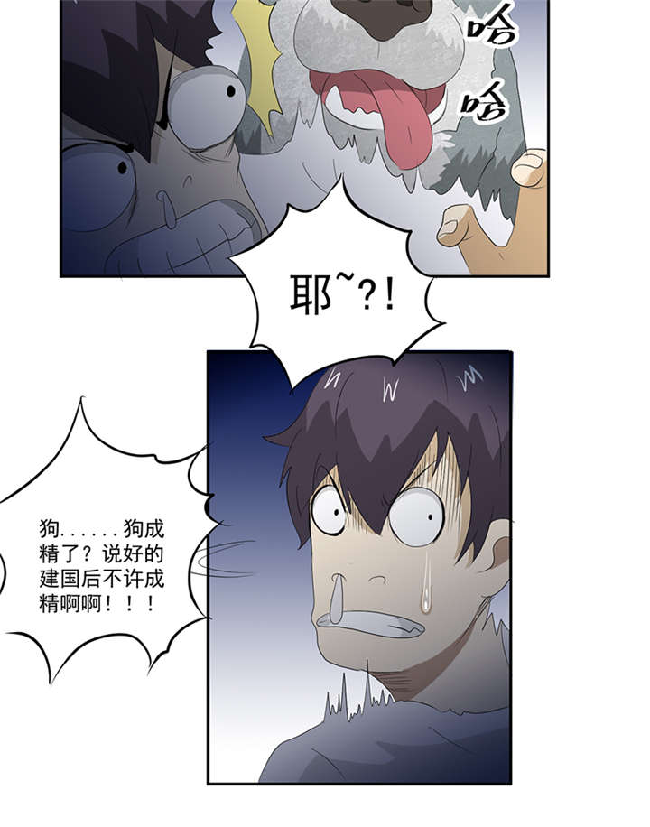 第13章：有条狗13