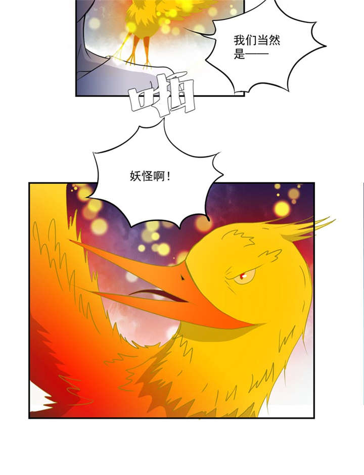 第16章：后院7