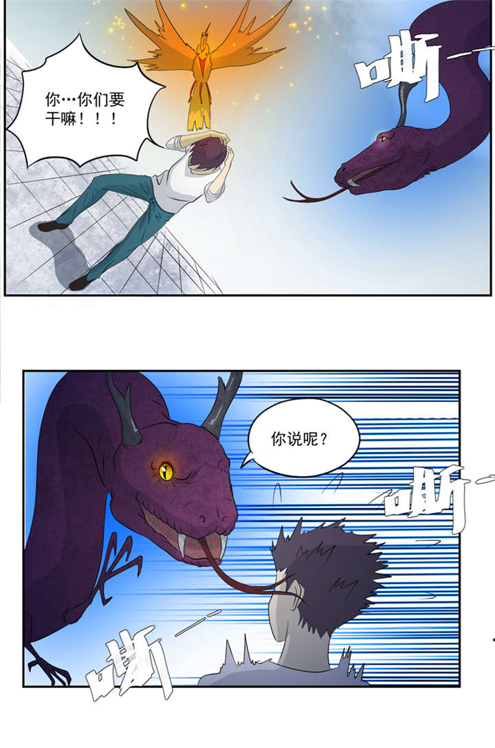 第16章：后院9