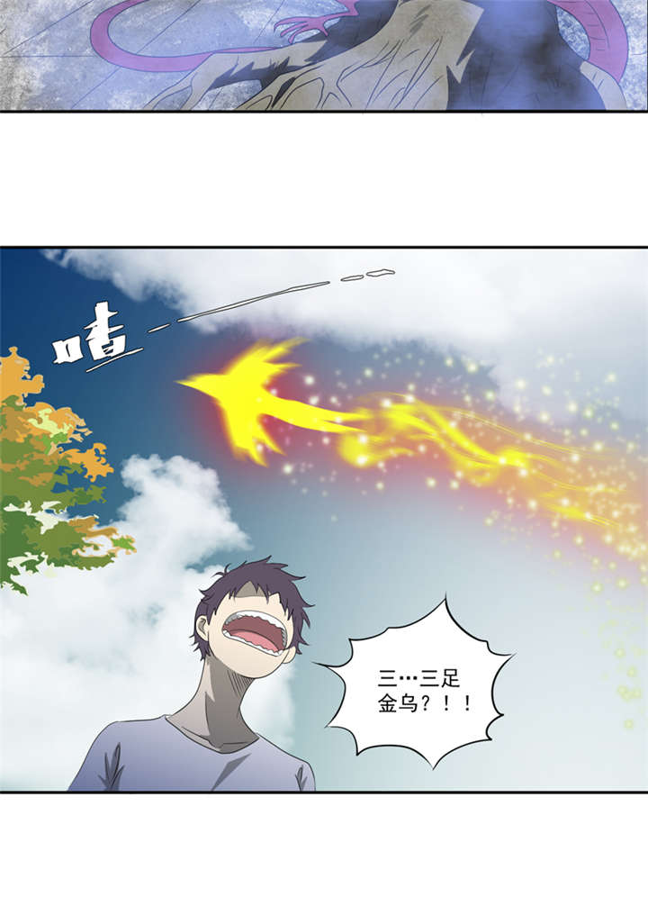 第16章：后院4