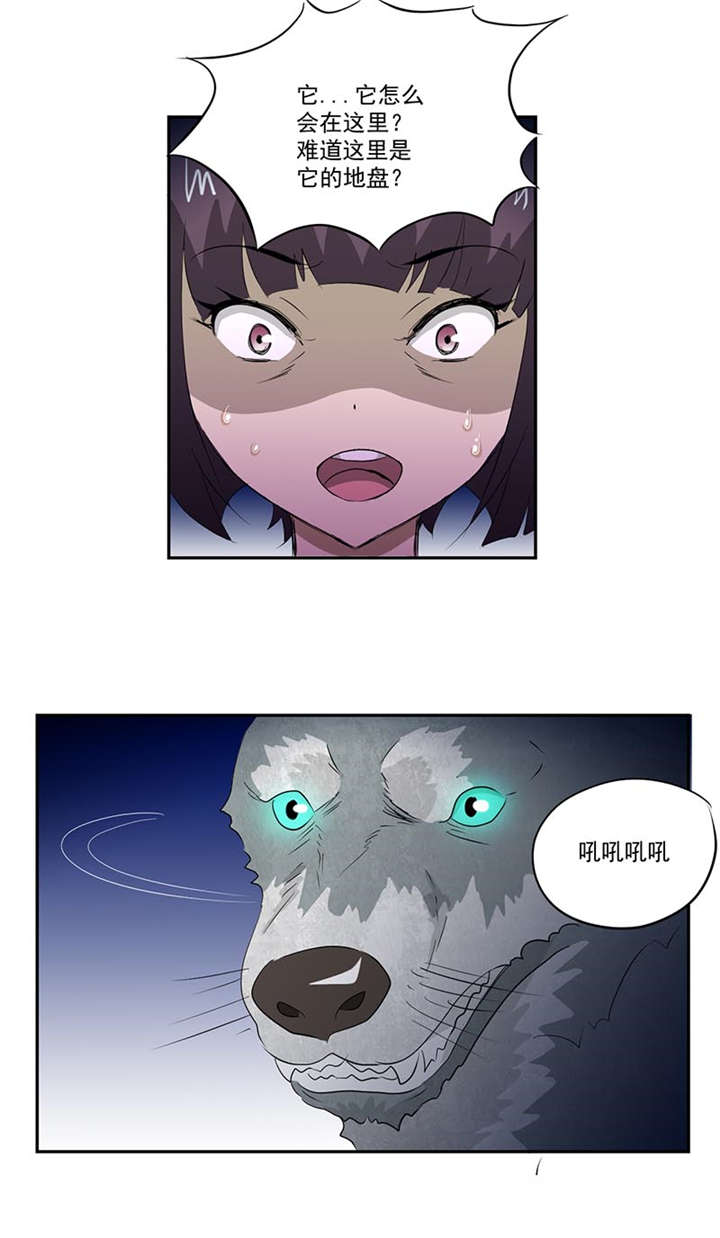 第13章：有条狗10