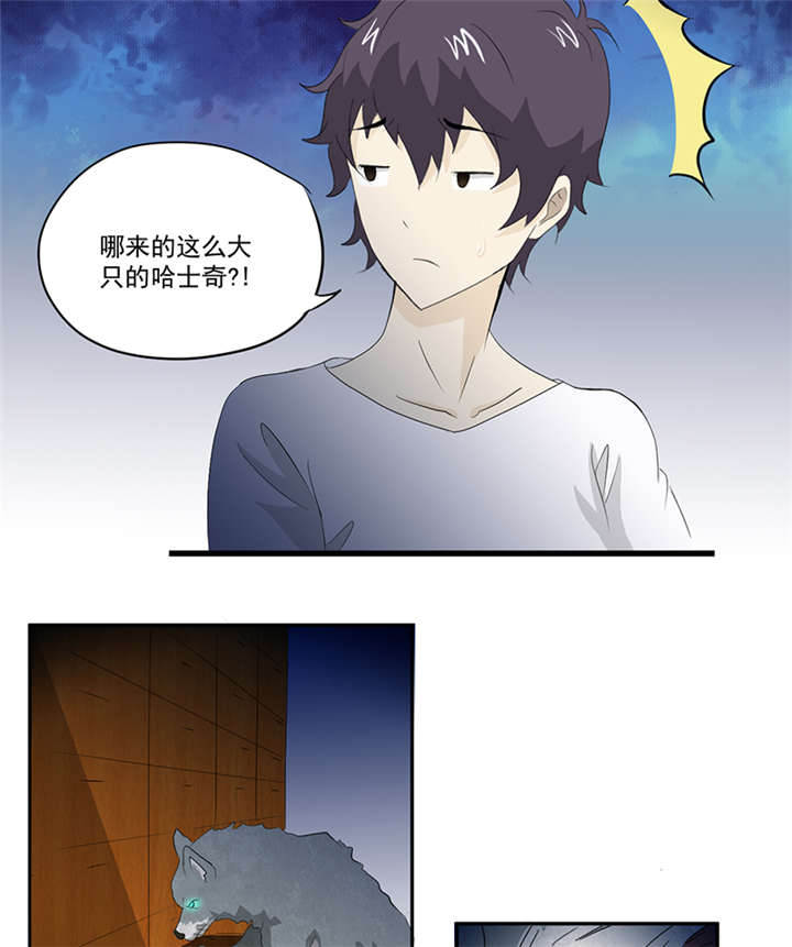 第13章：有条狗8