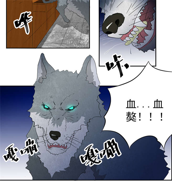 第13章：有条狗9