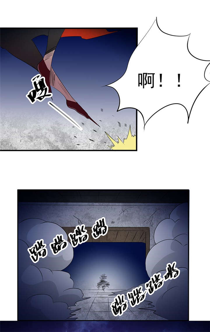 第13章：有条狗11