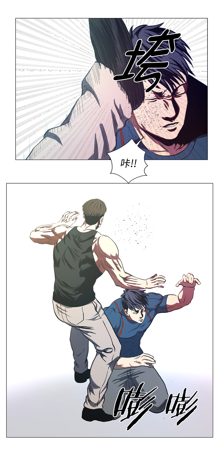 第84章：伤人11