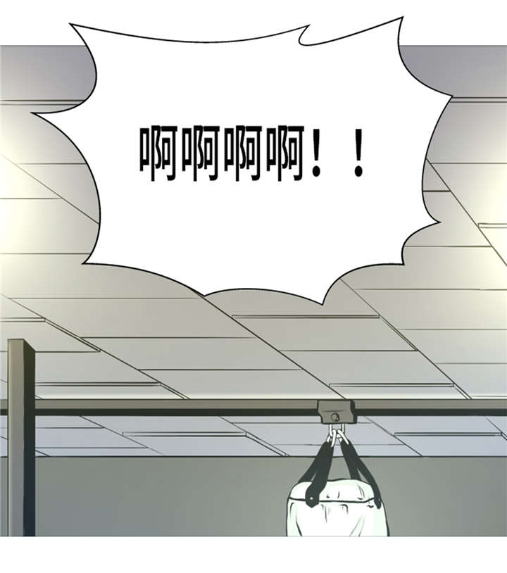 第14章：冠军苗子10