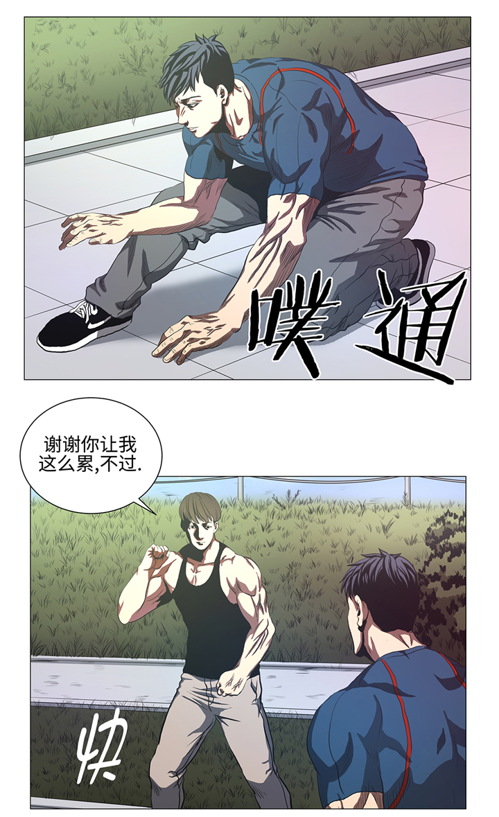第84章：伤人12