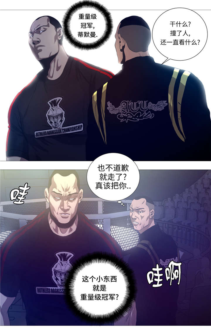 第25章： 重量级综合锦标赛21