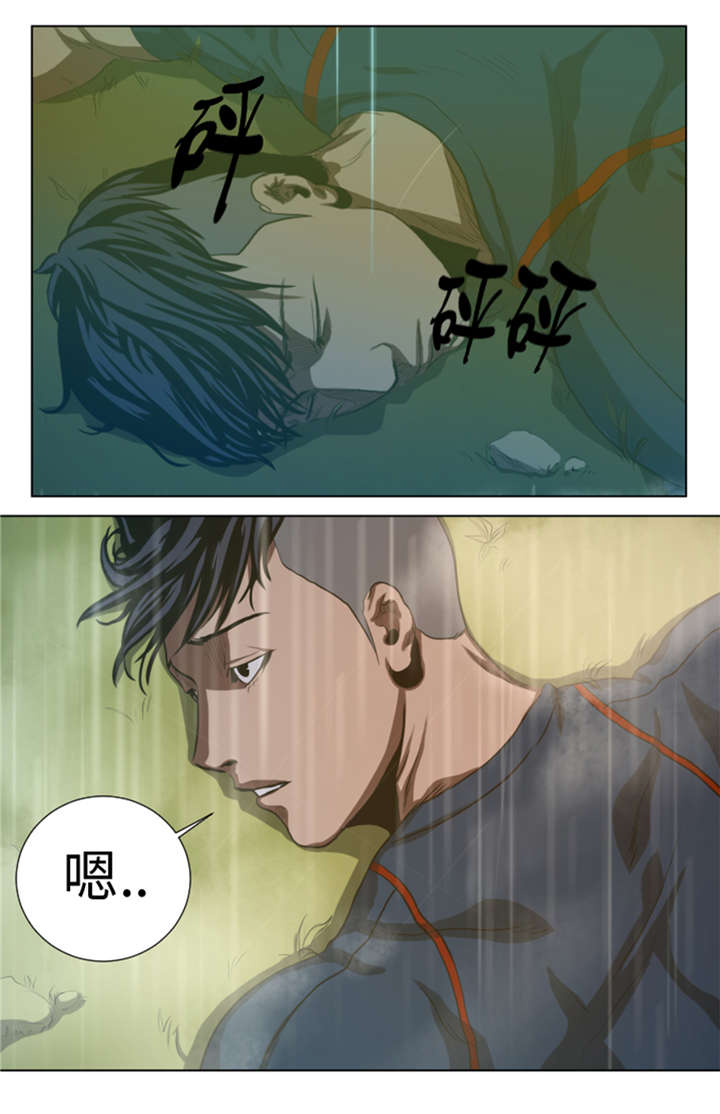第36章：真的是梦境？6