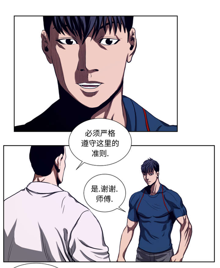 第43章：较量5
