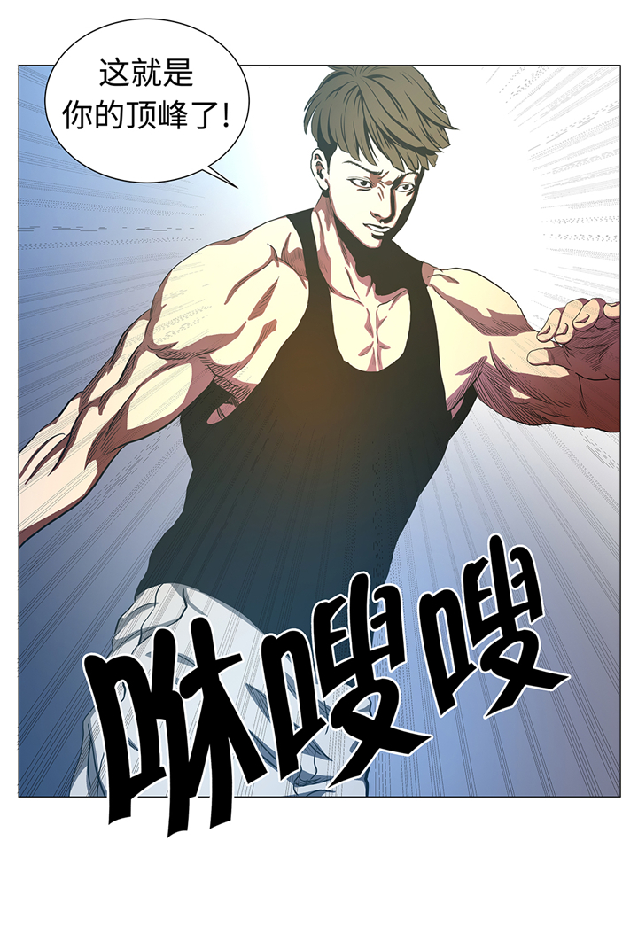 第84章：伤人13