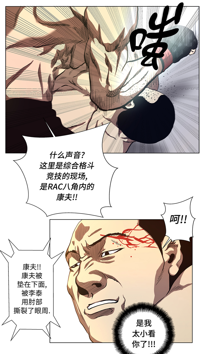第54章：拼尽一切11