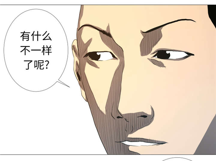 第31章：比我强的人2