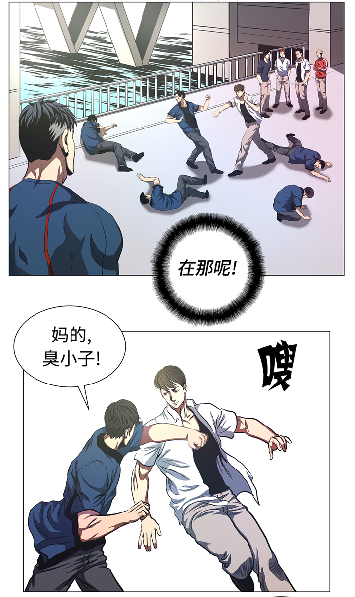 第80章：专业的2