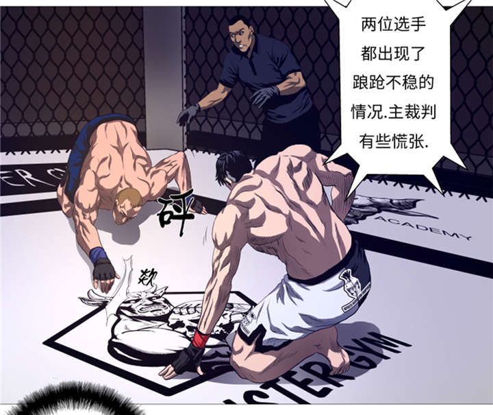 第25章： 重量级综合锦标赛5