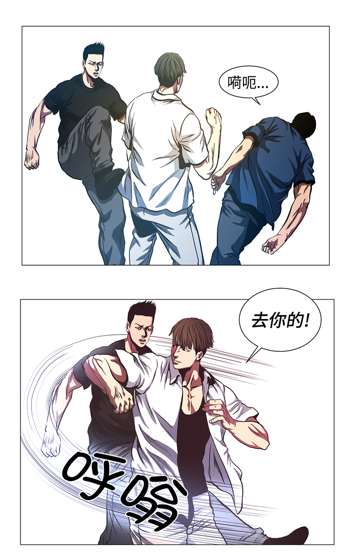第80章：专业的5