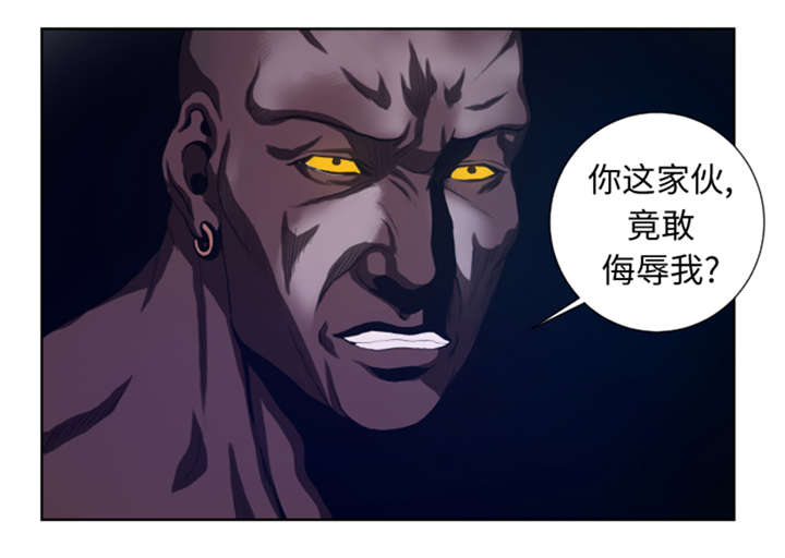 第42章：格斗源于打架9