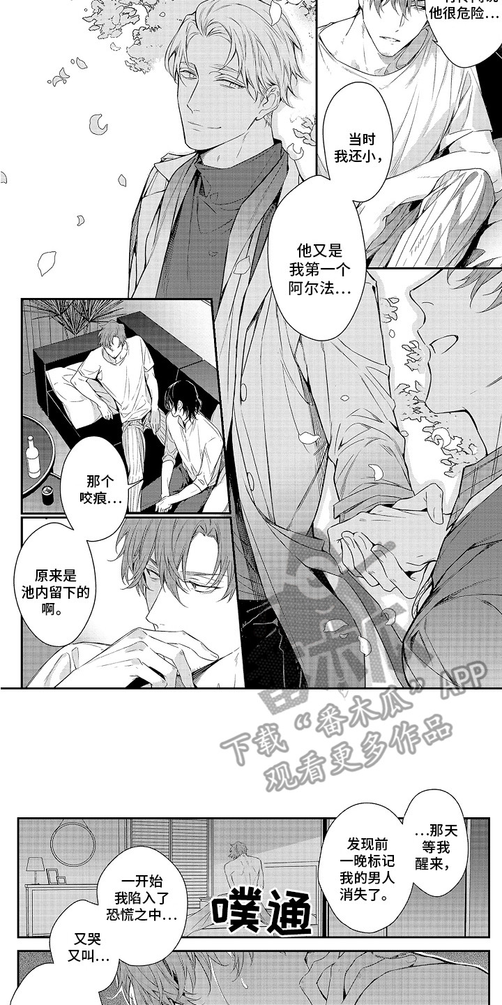 第11章：解释11