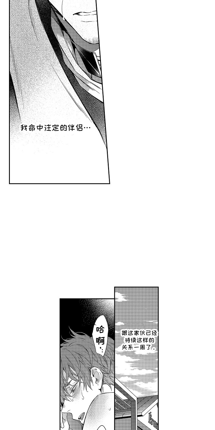 第8章：命中伴侣8