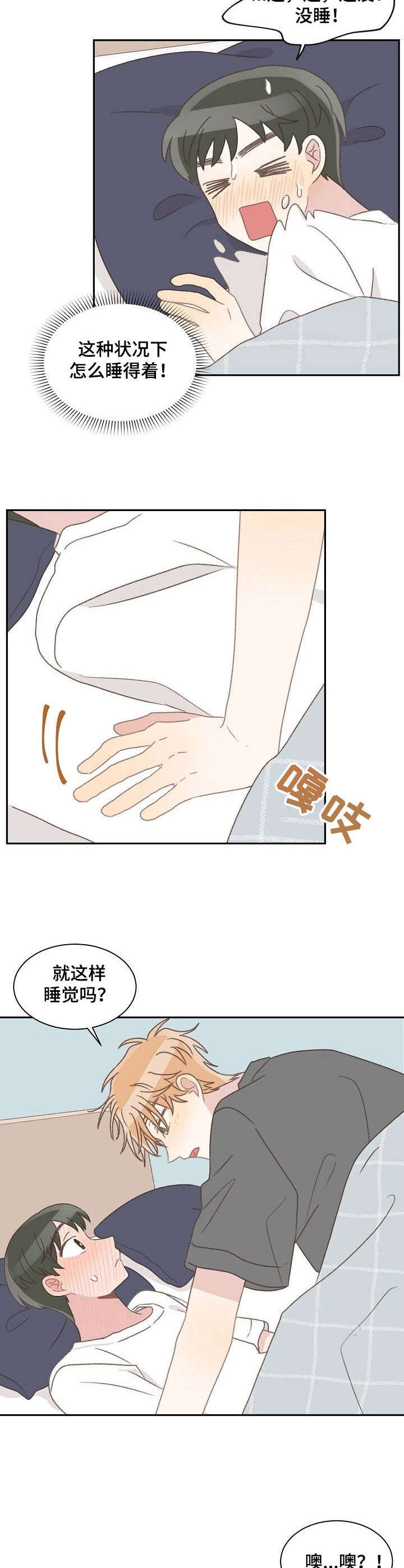 第40章：照顾（完结）7