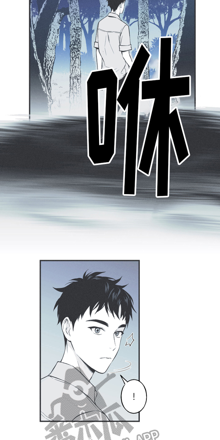 第13章：狐狸14